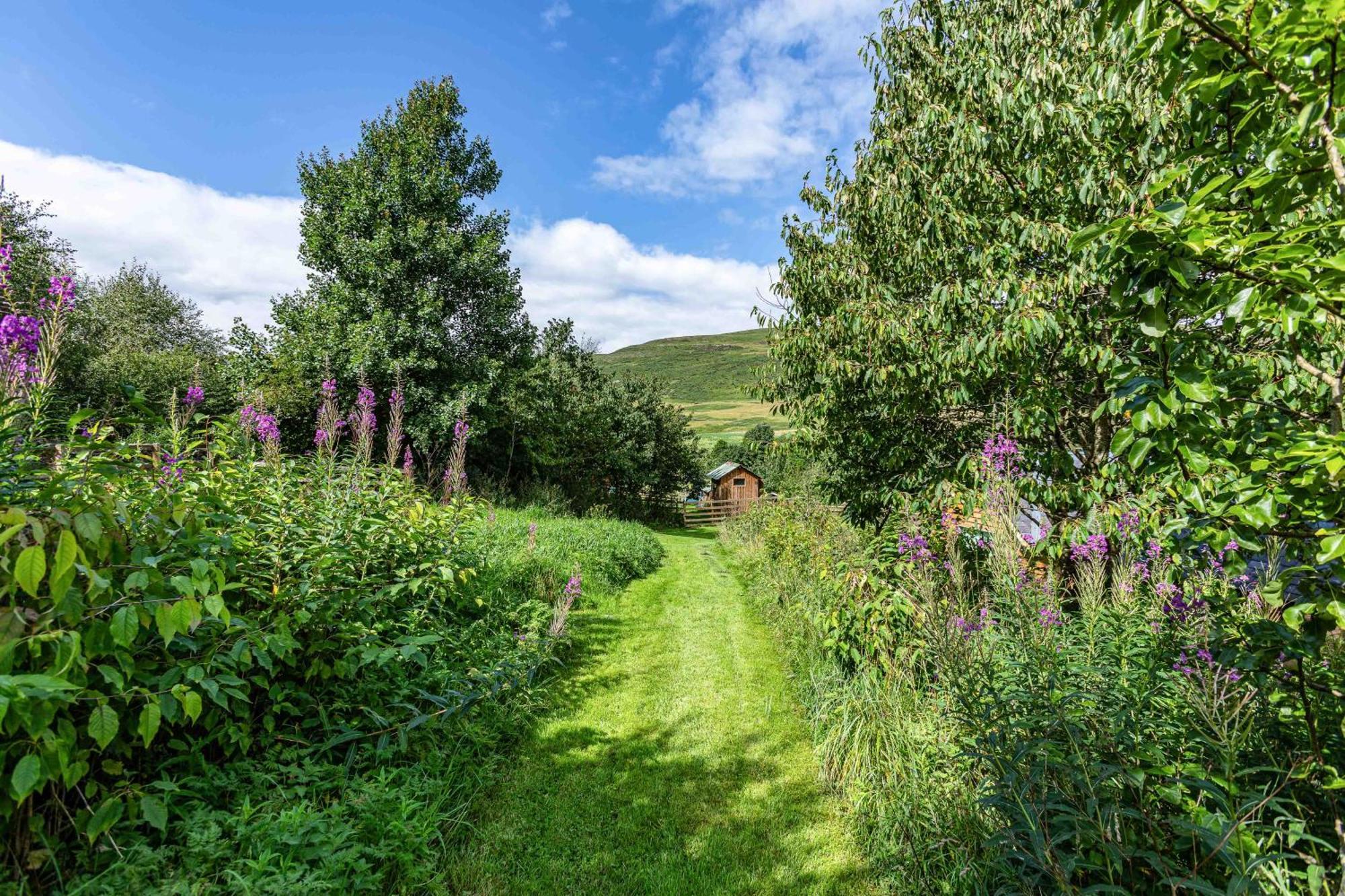 The Barn At Dormouse Cottage Selkirk Exteriér fotografie